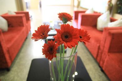 Aston Gideon Batam Hotel 3*